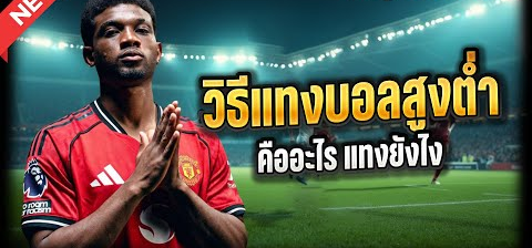 วิธีดูราคาบอลสูงต่ำ และวิธีวิเคราะห์ก่อนแทงบอลสูงต่ำ