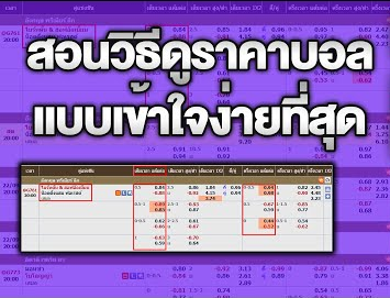 วิธีดูราคาค่าน้ำบอล จากตารางราคาบอลเหมาะทั้งมือใหม่และสายเล่นประจำ