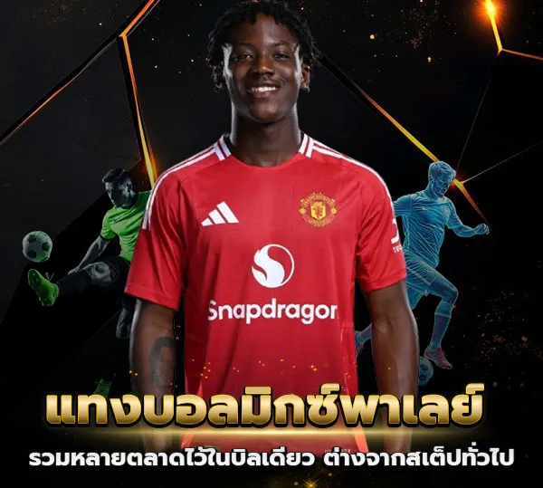 เทคนิคแทงมิกซ์ พาร์เลย์ คืออะไร